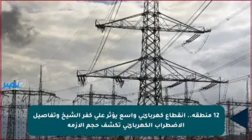12 منطقة.. انقطاع كهربائي واسع يؤثر على كفر الشيخ وتفاصيل الاضطراب الكهربائي تكشف حجم الأزمة